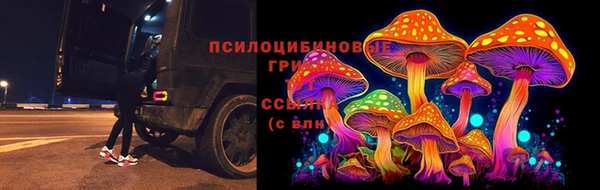 экстази Алексин