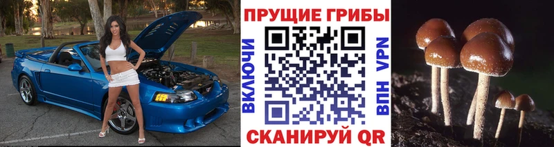 нарко площадка наркотические препараты  Сим  Псилоцибиновые грибы Magic Shrooms 